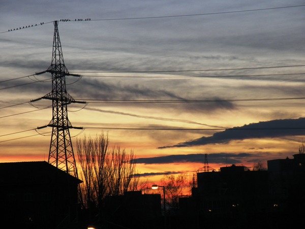 Madarak a naplementében