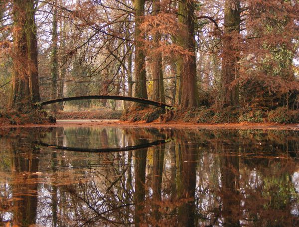 Weinckeheim kastély-park