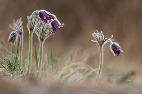 "családtól elszakadv