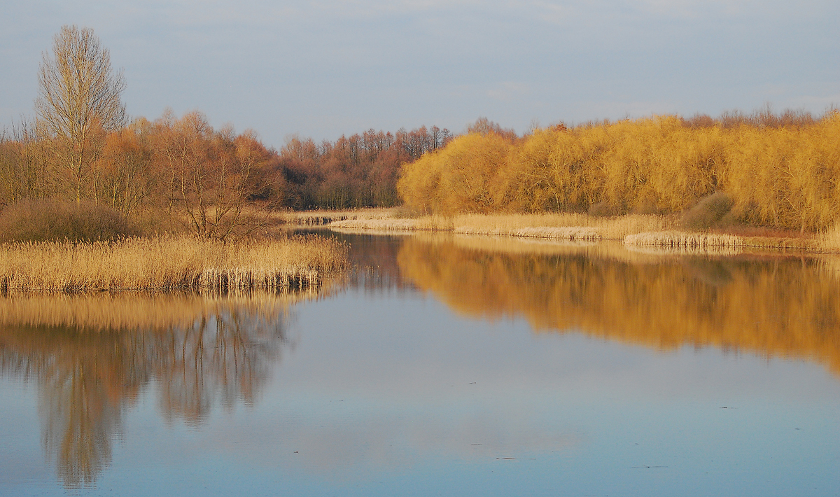 Gaál Zoltán Péter