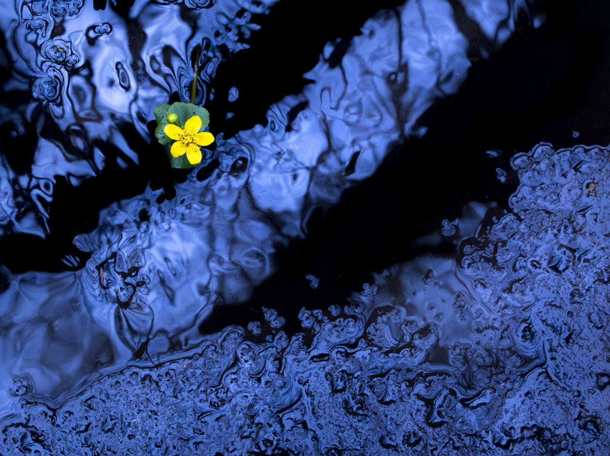 Litauszki Tibor