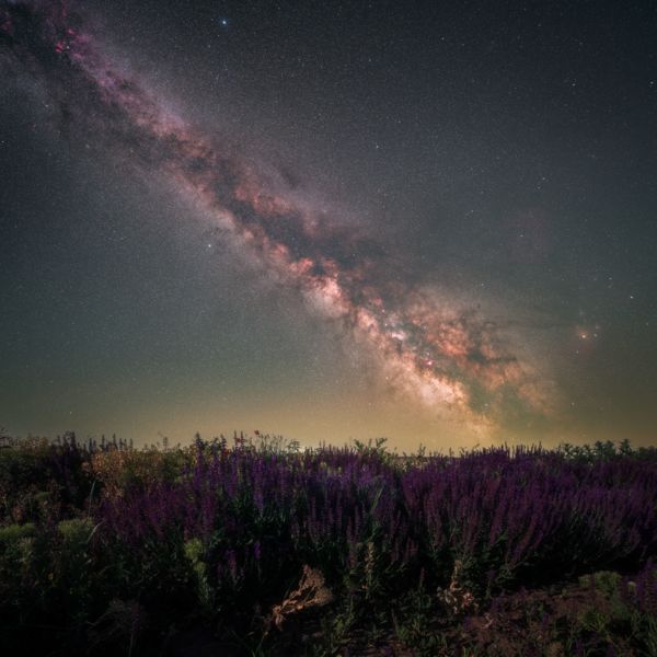 A Puszta Bíbor Koronája
