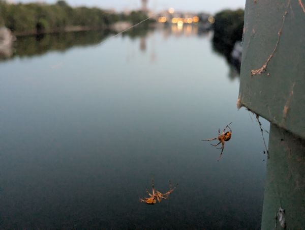 Pok tanc a budapesti hidon