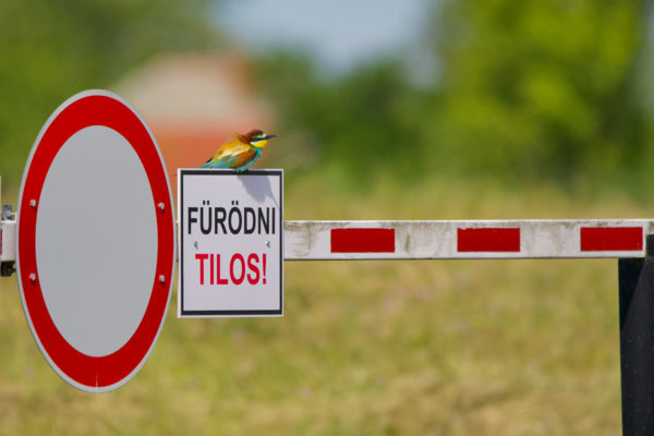 Térfigyelő