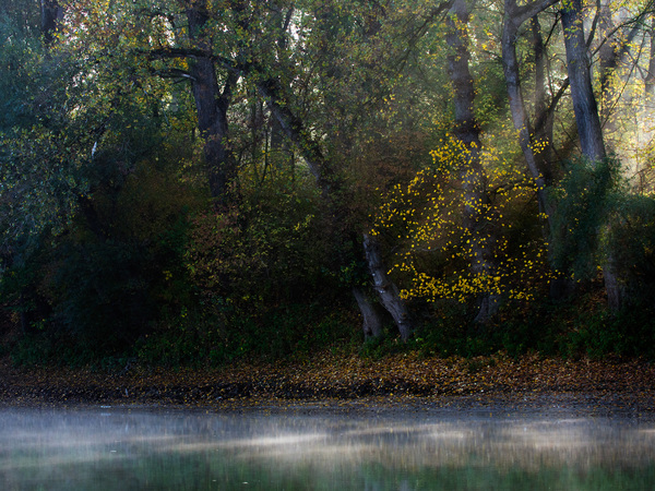 Ősz a Vén-Dunánál