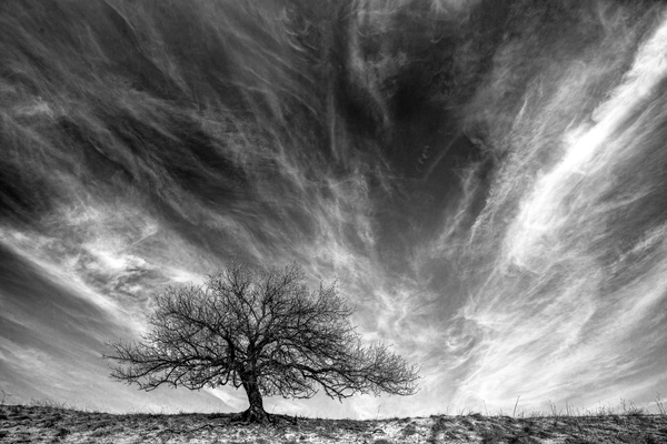 Egyedül a felhők alatt