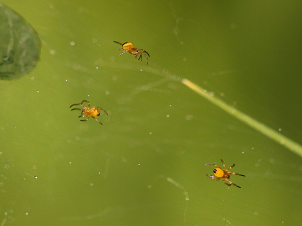 Ég és föld között