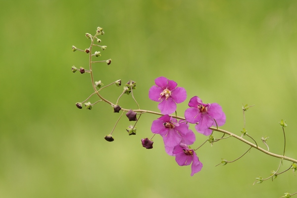 Múlt, jelen, jövő..