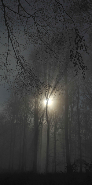 Kora tavaszi fények