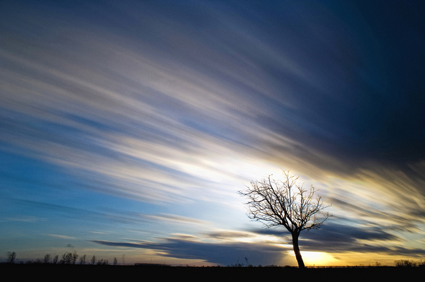 Uralkodó szélirány