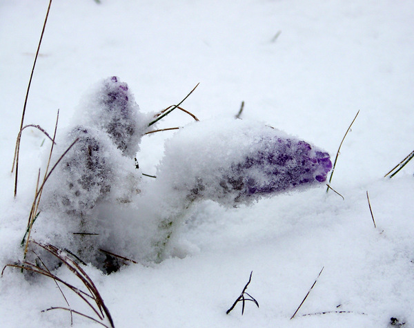 Néhány napot várhatott volna