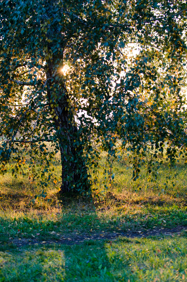 Násfayné Kőházi Mária
