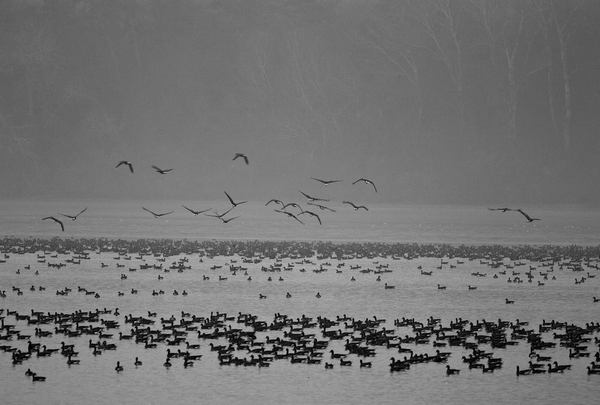 Szürke hajnal az Öreg-tavon