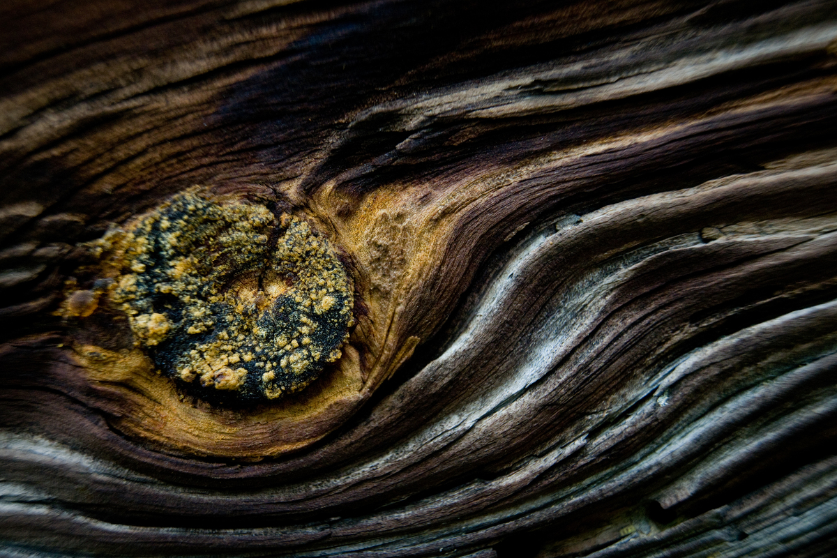 Ribényi Csaba Alfonz