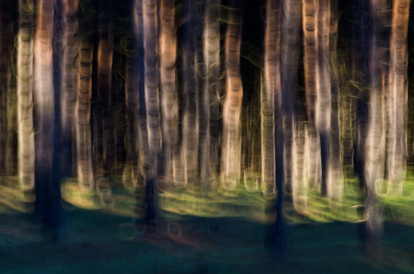 Avatar "mifelénk módra"