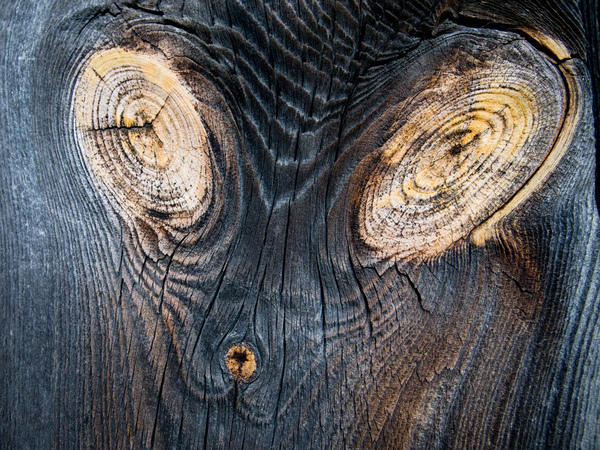 Fütyülő földönkívüli