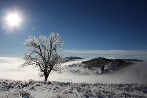 Jégvilág Jégvilág