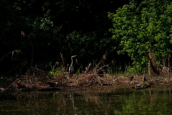 Ez itt az én helyem!