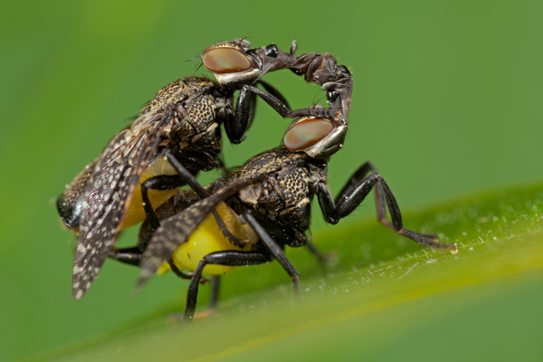 &quot;full kontakt...&quot;