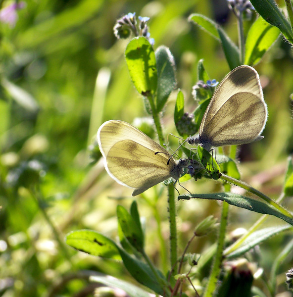 Örülök,hogy találkoztunk!