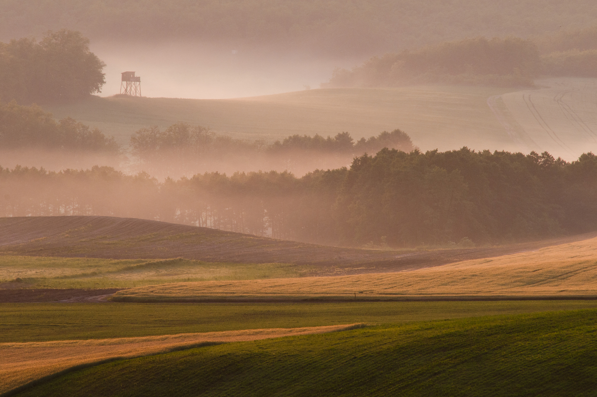 Ribényi Csaba Alfonz