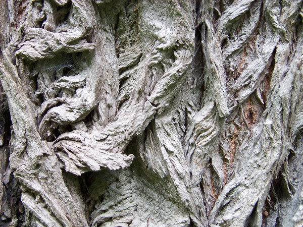 Mi látható a képen?