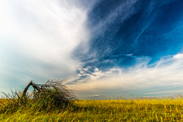 Gondolatok az elmúlásról