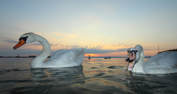 Balatoni naplementében 