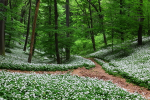 Keresztút Keresztút