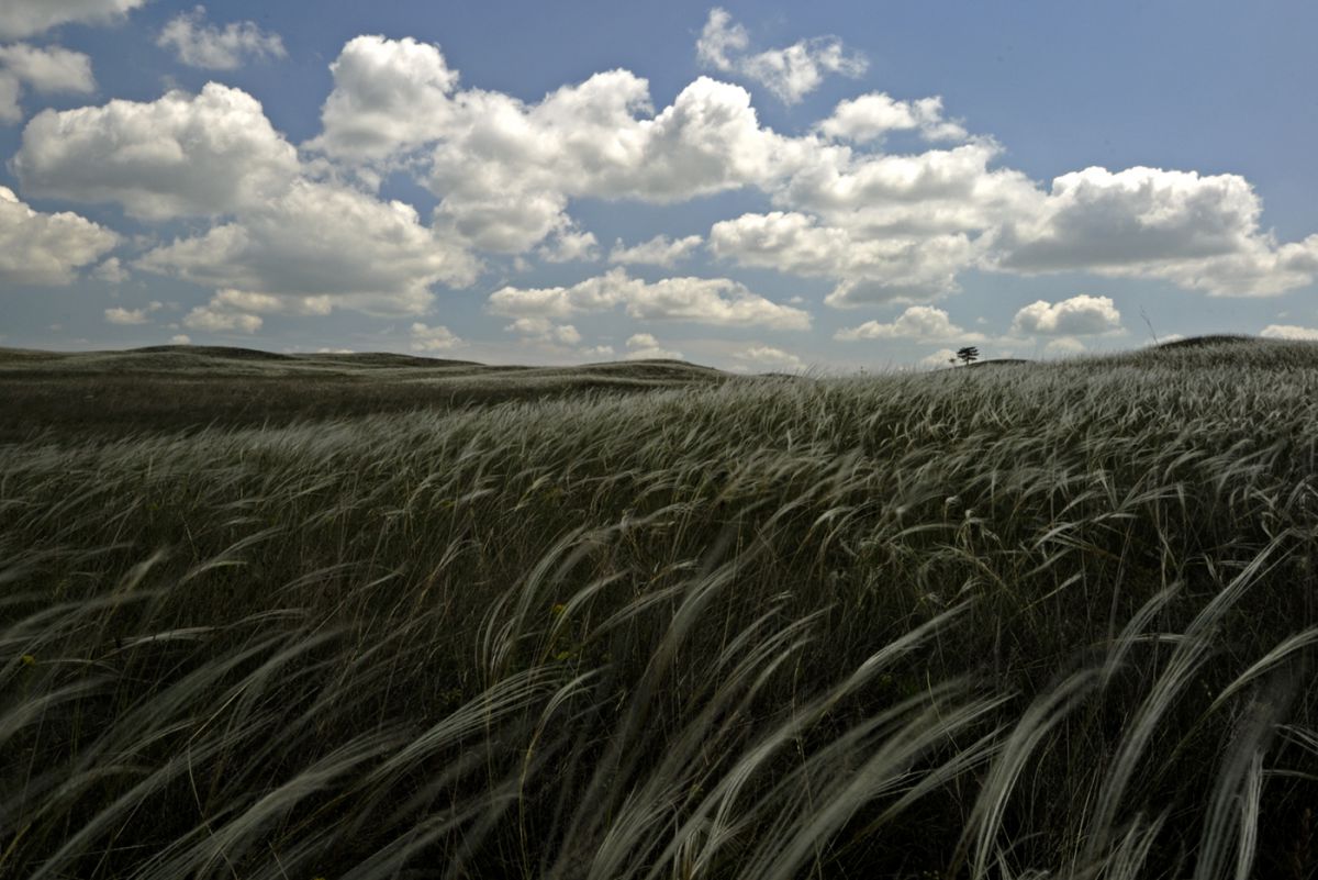 Násfayné Kőházi Mária