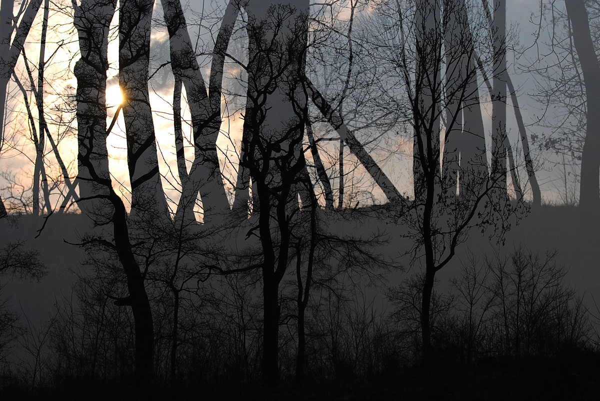 Gaál Zoltán Péter