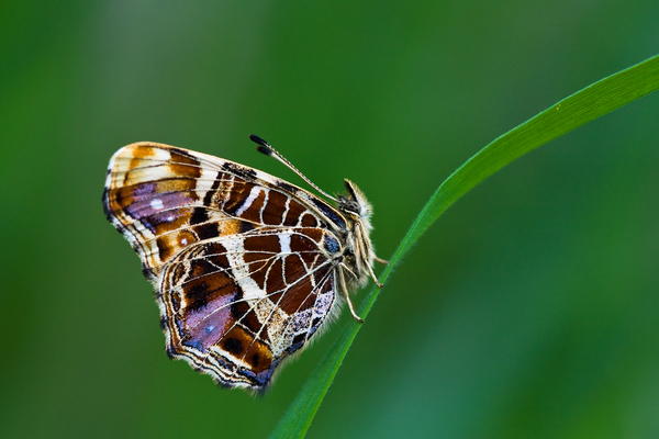Tavaszi divatszínek