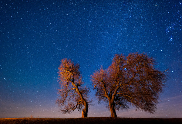 Csillagokkal táncolók