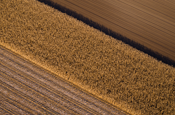 Struktúrák - avagy padlószőnyeg a mezőn