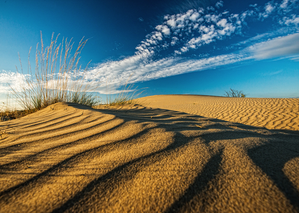 Szélből és fényből.