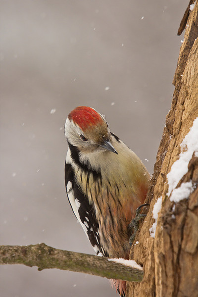 Lássuk hol van a baj!