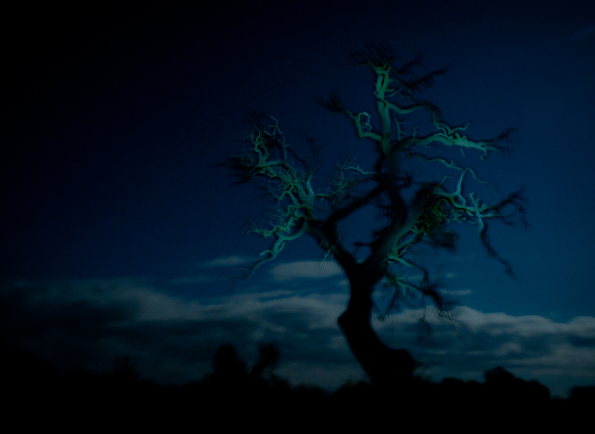 Ribényi Csaba Alfonz