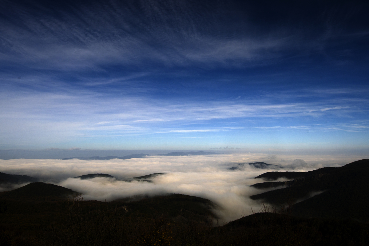 Násfayné Kőházi Mária