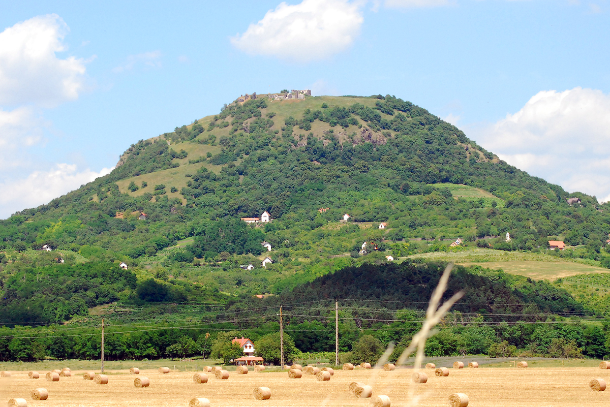 Gaál Zoltán Péter