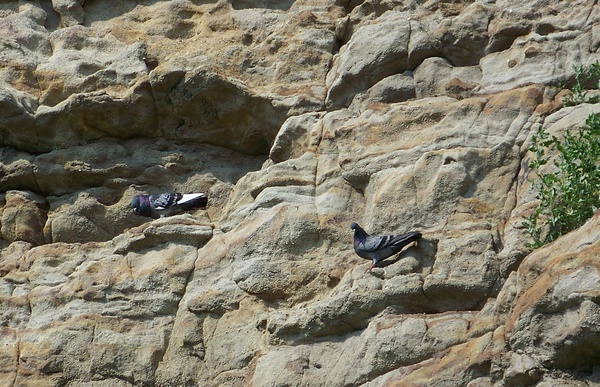 Ennél jobbat nem találtál