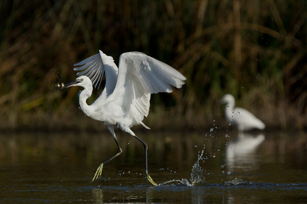 Vizen járok és halászok!