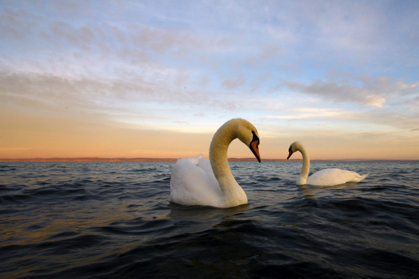 Hajnal  a magyar tengeren