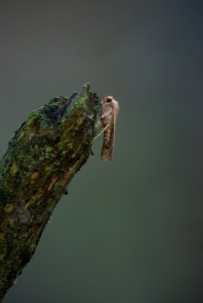 Csak pihenek egy kicsit!