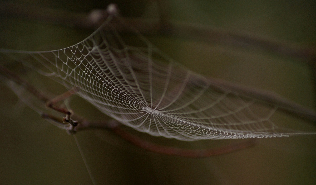 Laczkó-Magyar György