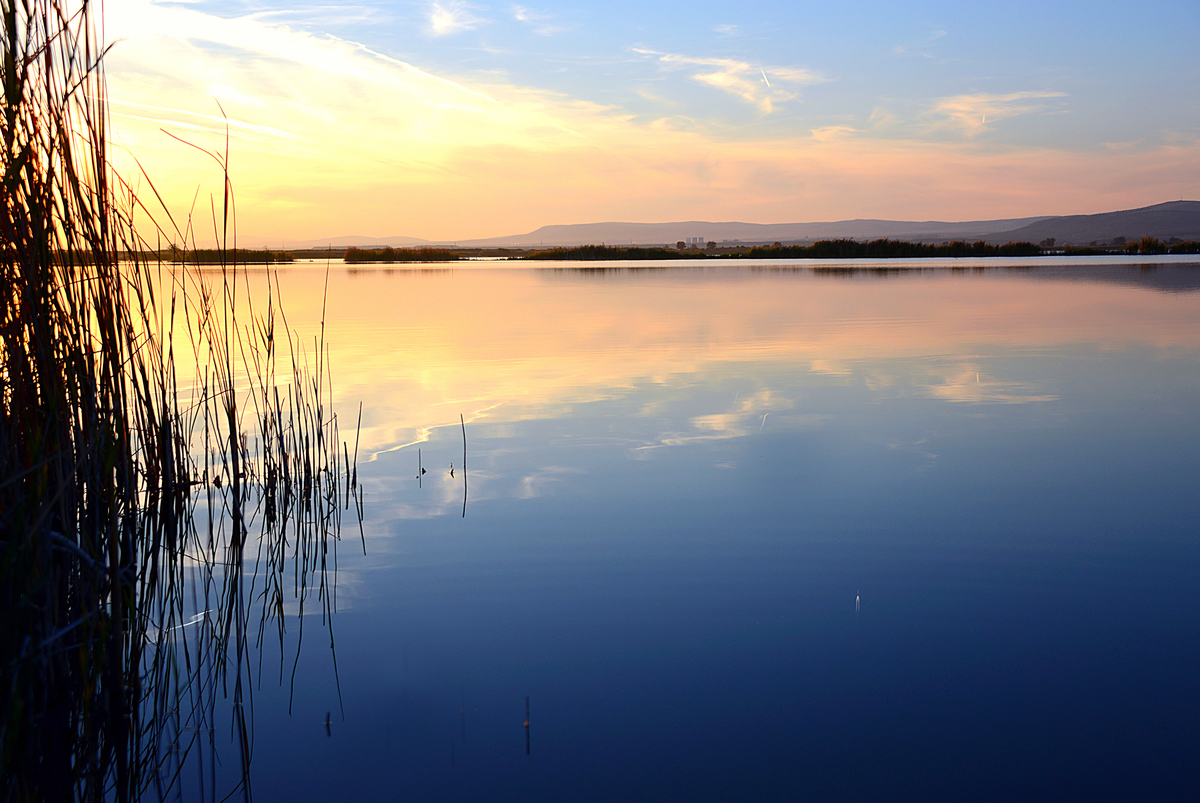 Gaál Zoltán Péter