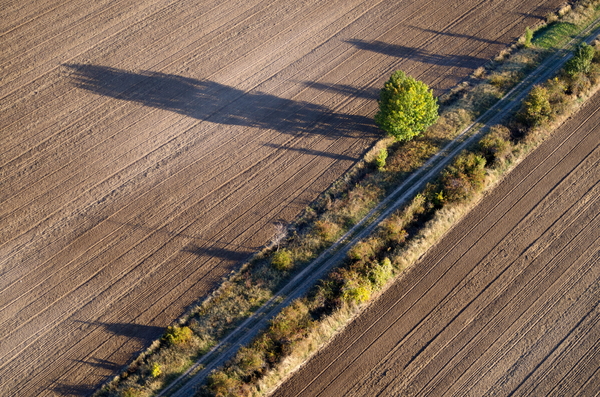 Út a szántóföldön