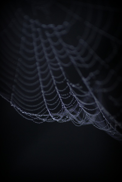 Felgördül a függöny