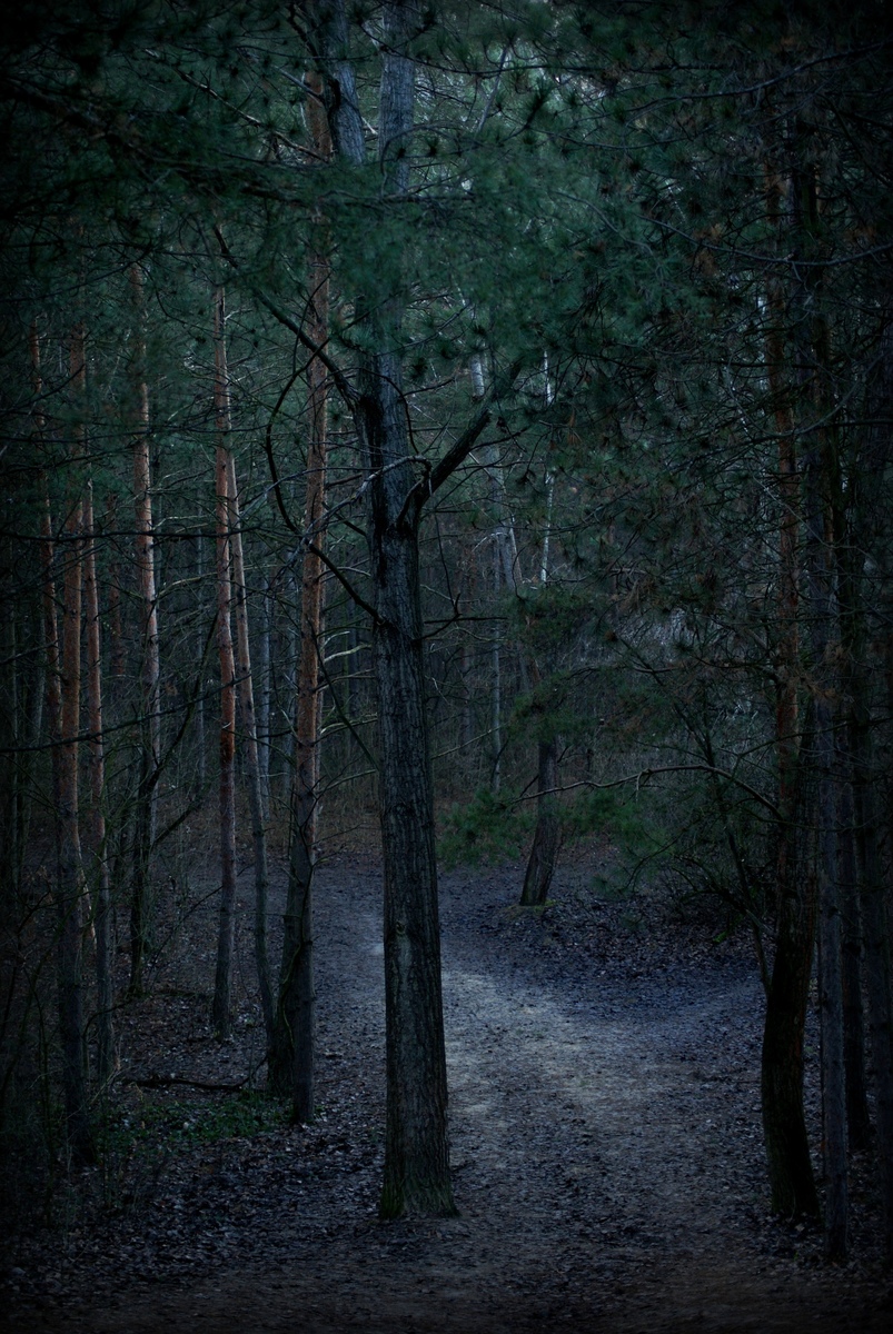 Laczkó-Magyar György