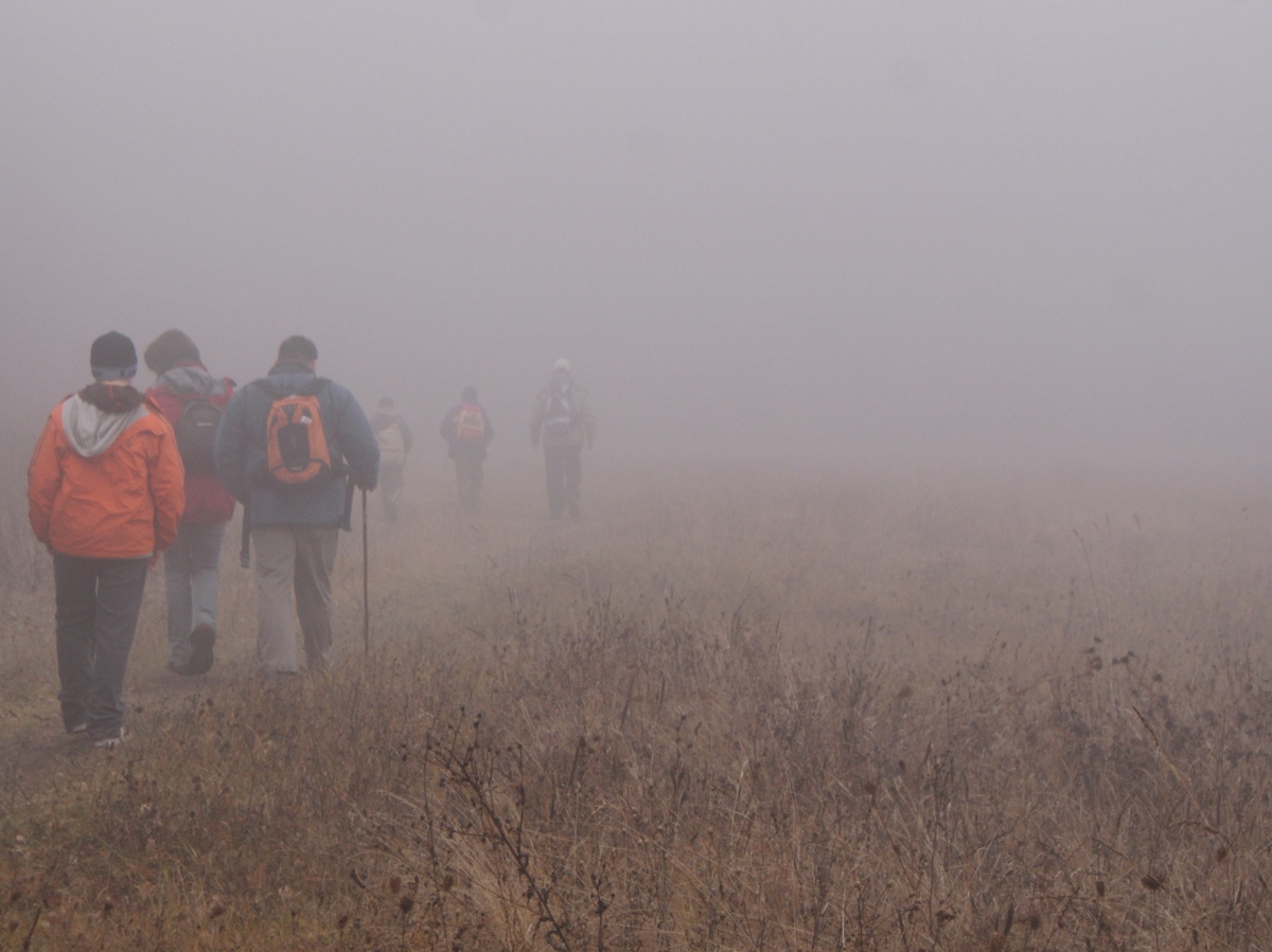 Laczkó-Magyar György