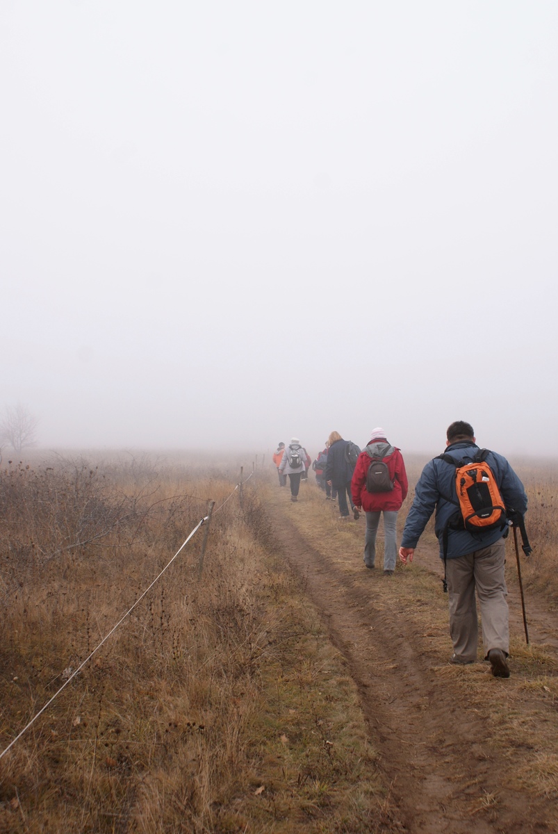 Laczkó-Magyar György